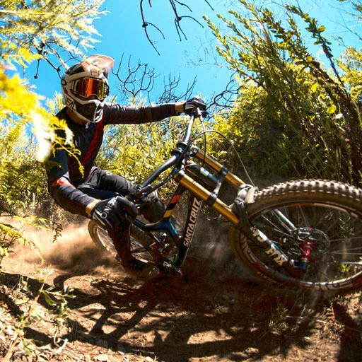צמיג לאופניים מקסיס אסגאיי MAXXIS ASSEGAI EXO+/TR/3C 29x2.60WT - Image 4