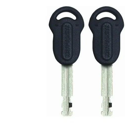 מנעול קריפטונייט שרשרת Evolution series 4 1090 Integrated Chain - Image 2